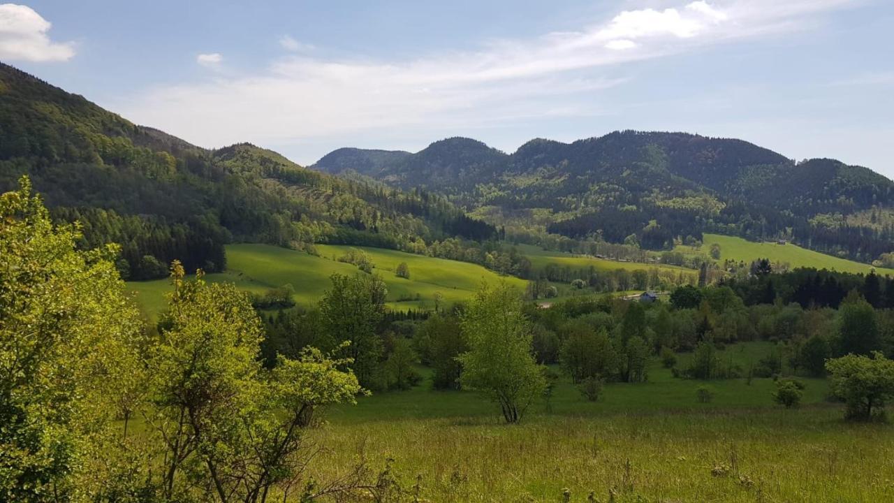 Sloneczne Apartamenty Sokolowsko Экстерьер фото